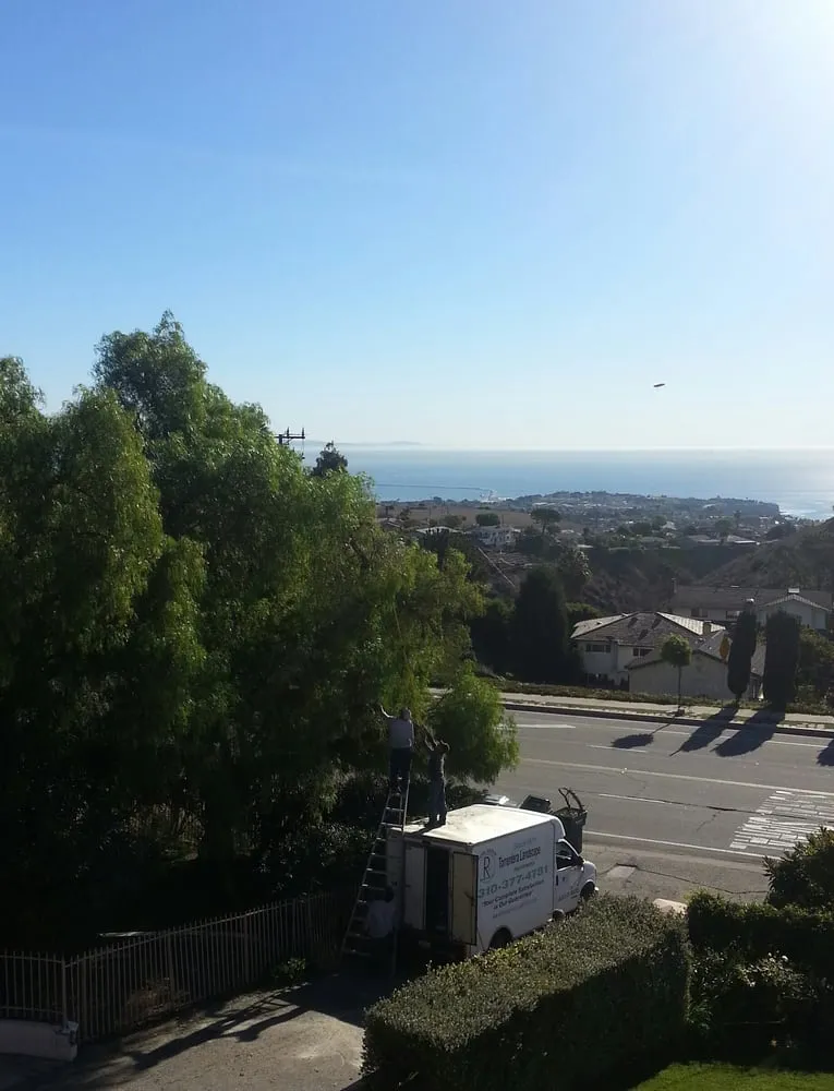 Custom landscape installation experts serving Palos Verdes Peninsula, CA - Torrentera Landscape - Ruben's Lawn Service