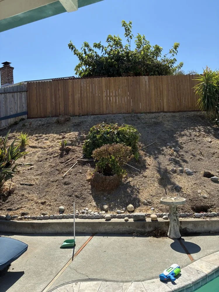 Professional residential landscaping in Bay Point, CA - Torres & Co