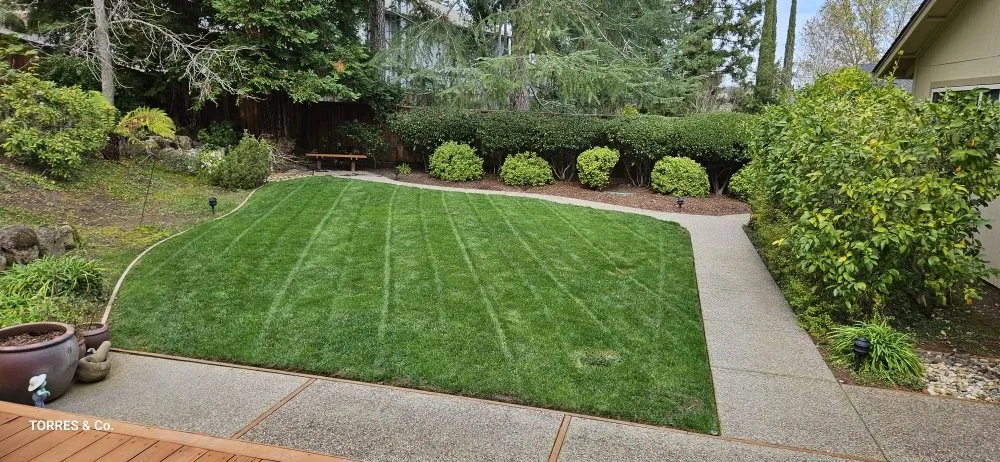 Trusted residential landscaping in Bay Point, CA by Torres & Co