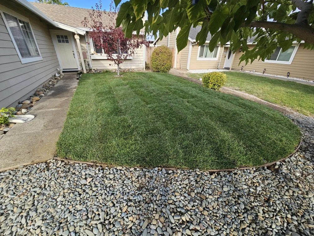 Expert lawn care service for year-round maintenance in Bay Point, CA by Torres & Co