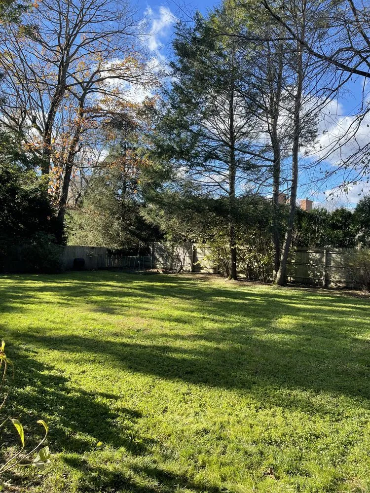 Expert yard cleanup service for outdoor upgrades in Port Chester, NY by Torres and Sons Landscaping