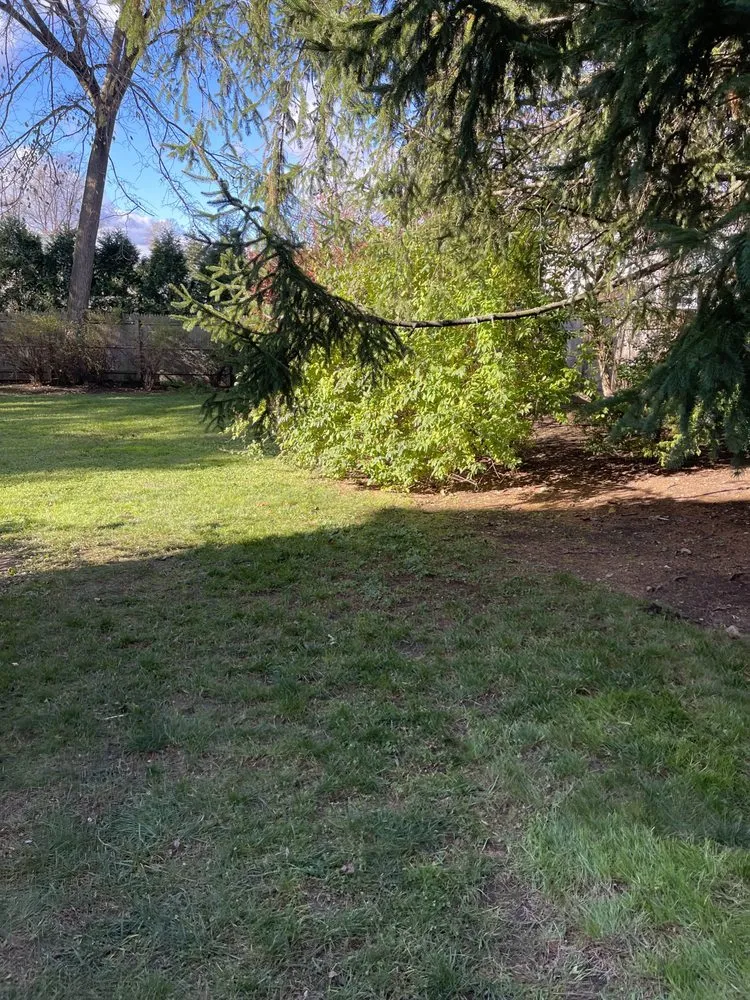 Professional garden landscaping for residential properties in Port Chester, NY by Torres and Sons Landscaping