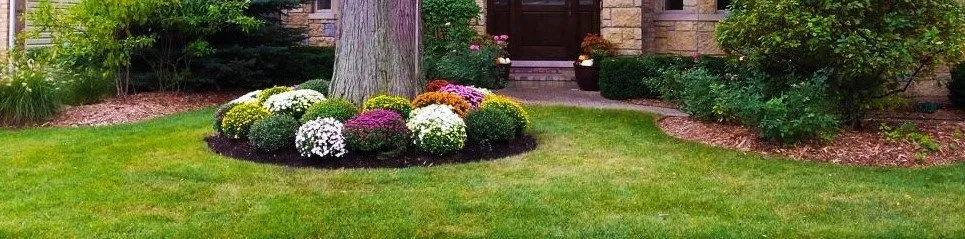Affordable lawn mowing service in Mundelein, IL by Torres Brothers Landscaping