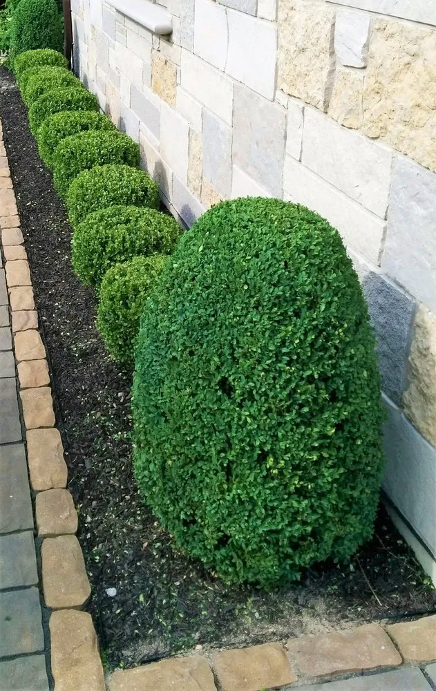 Local outdoor landscaping for residential properties across Mundelein, IL - Torres Brothers Landscaping