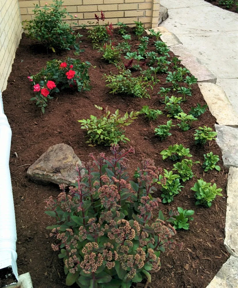 Trusted yard cleanup service for year-round maintenance across Mundelein, IL - Torres Brothers Landscaping