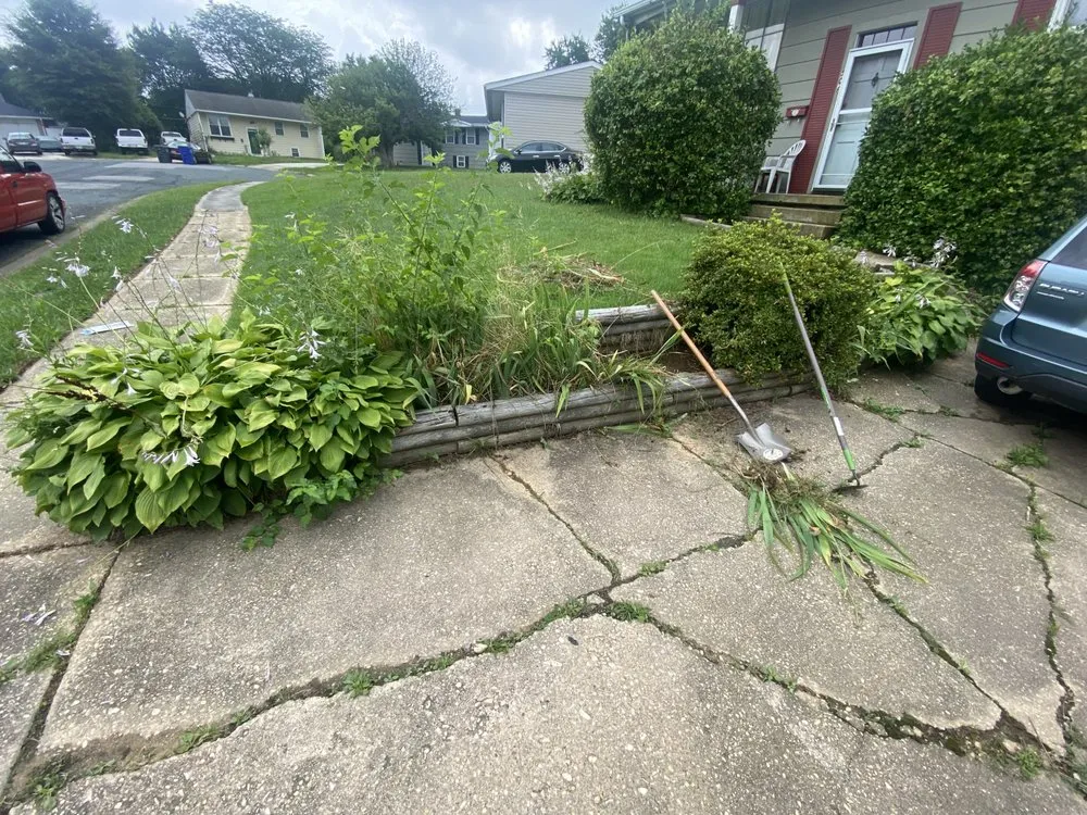 Trusted lawn mowing service for homes across Essex, MD - Torres Empire Lawn Service