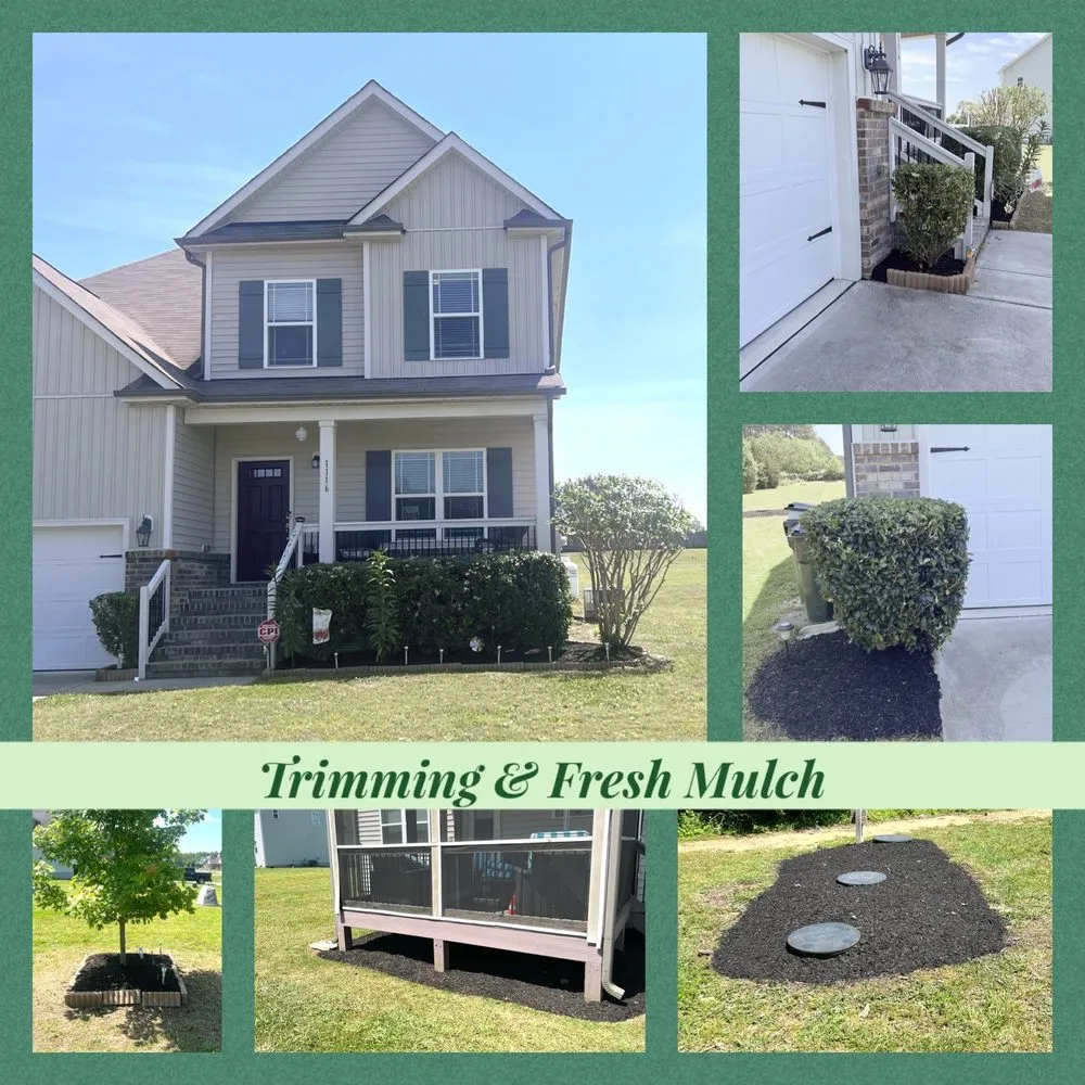 Top-rated yard maintenance experts serving Zebulon, NC - Torres Family Landscaping