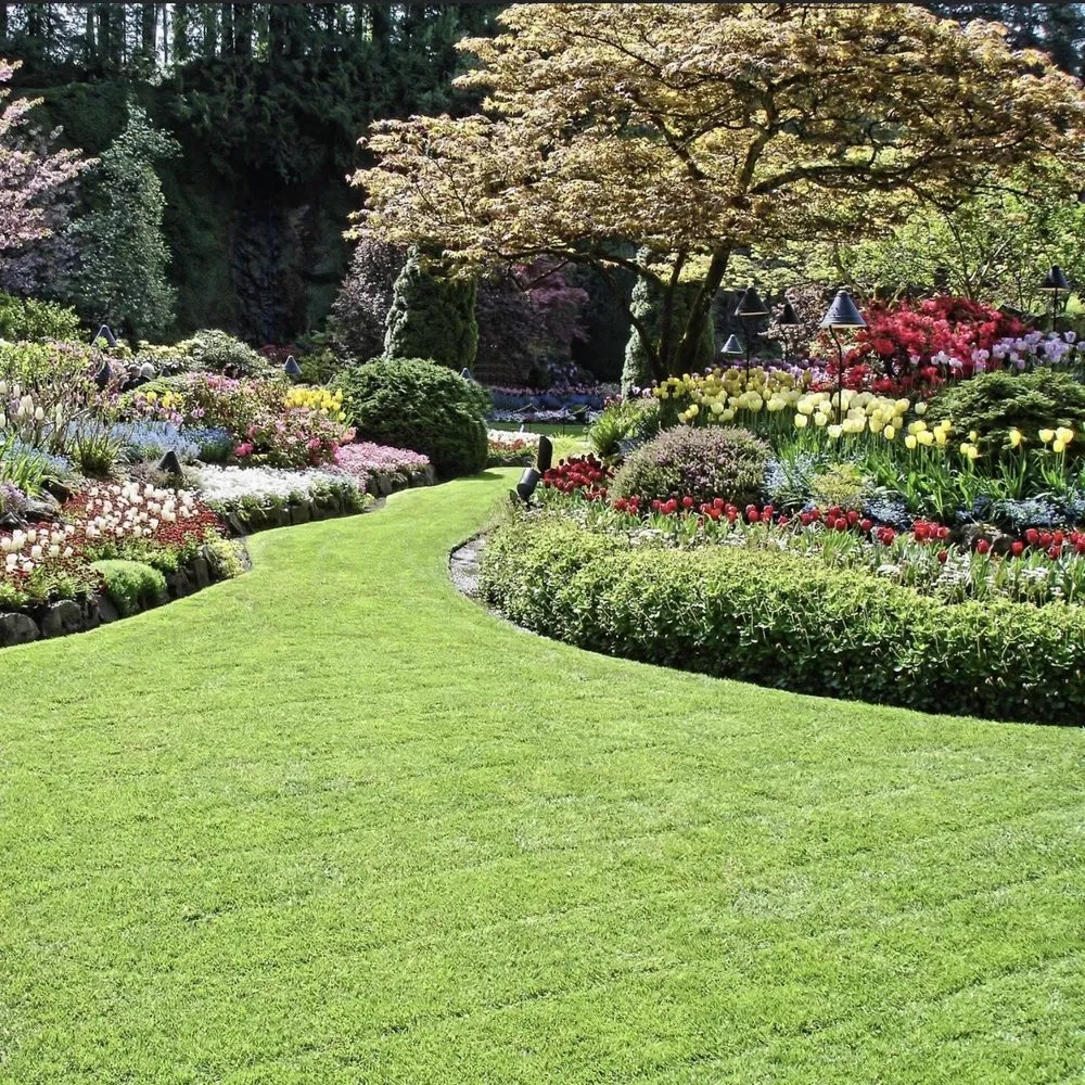 Expert garden landscaping near you across Zebulon, NC - Torres Family Landscaping