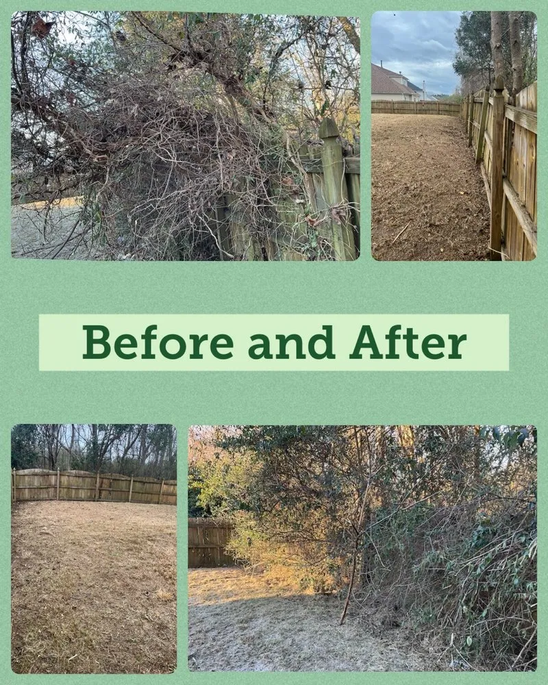 Professional landscape design in Zebulon, NC - Torres Family Landscaping