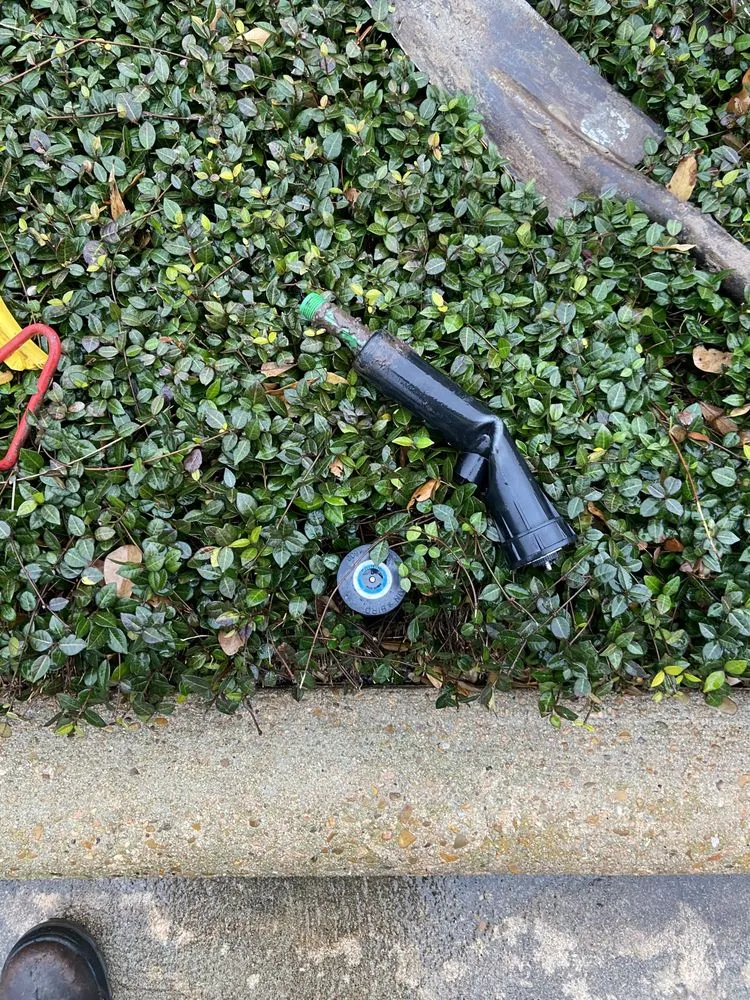 Professional yard cleanup service in Houston, TX by Torres Irrigation Services