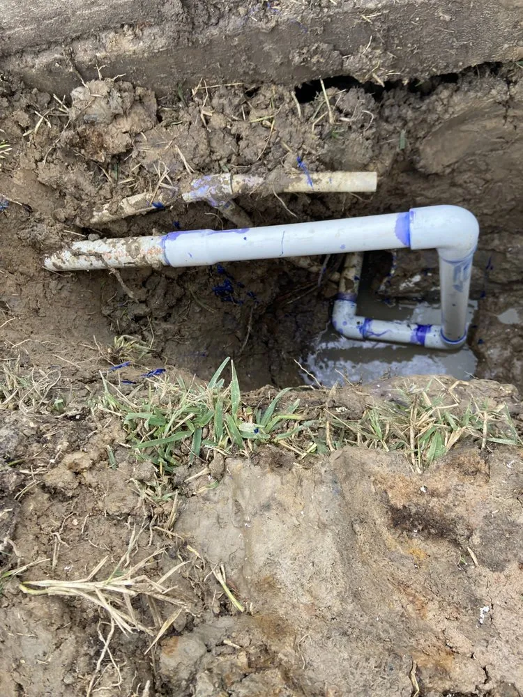 Local landscape design in Houston, TX - Torres Irrigation Services