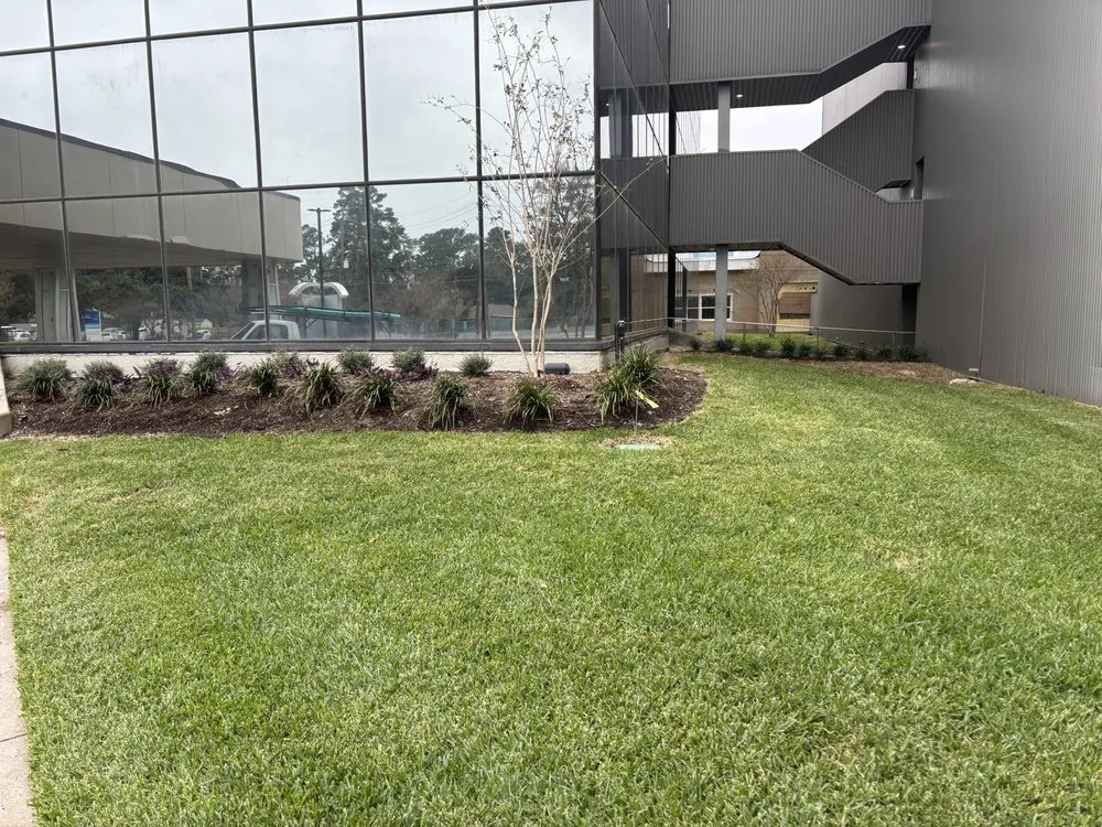 Reliable yard cleanup service in Houston, TX - Torres Irrigation Services