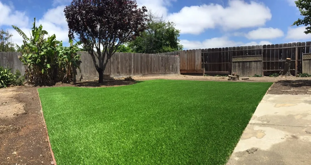 Expert yard cleanup service in Salinas, CA by Torres Landscape & Gardening