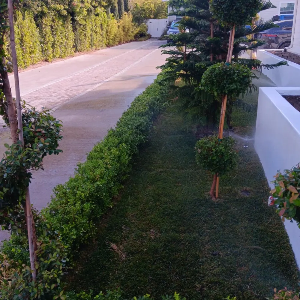 Professional residential landscaping with custom design across West Hills, CA - Torres Landscape & Gardening