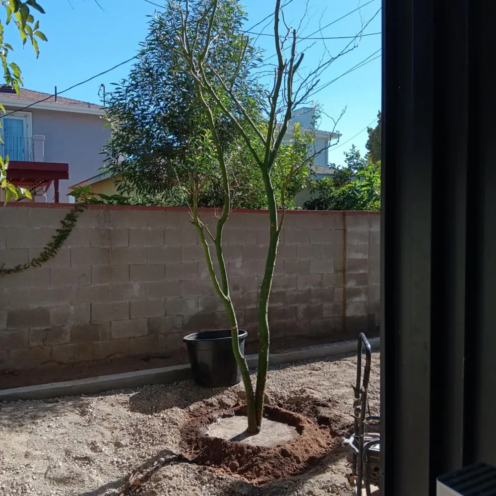 Local outdoor landscaping near you in West Hills, CA by Torres Landscape & Gardening