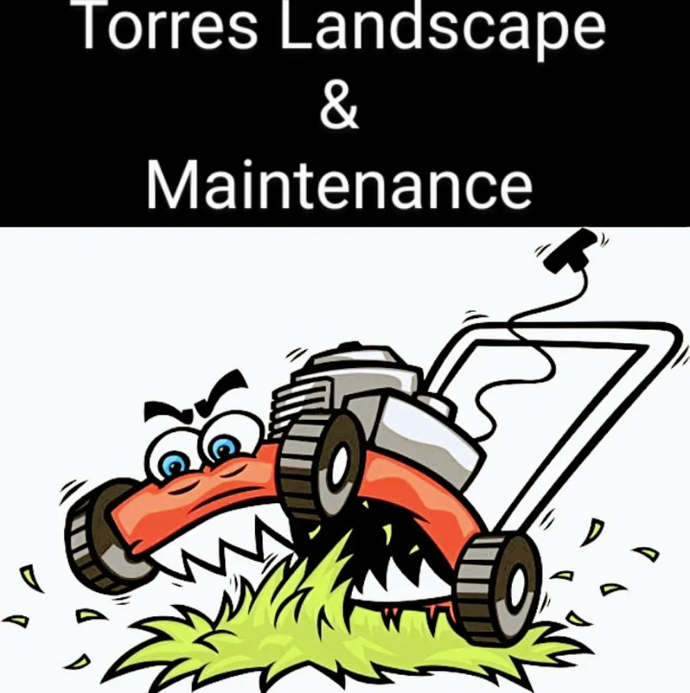 Top-rated yard maintenance for homes across El Paso, TX - Torres Landscape & Maintenance