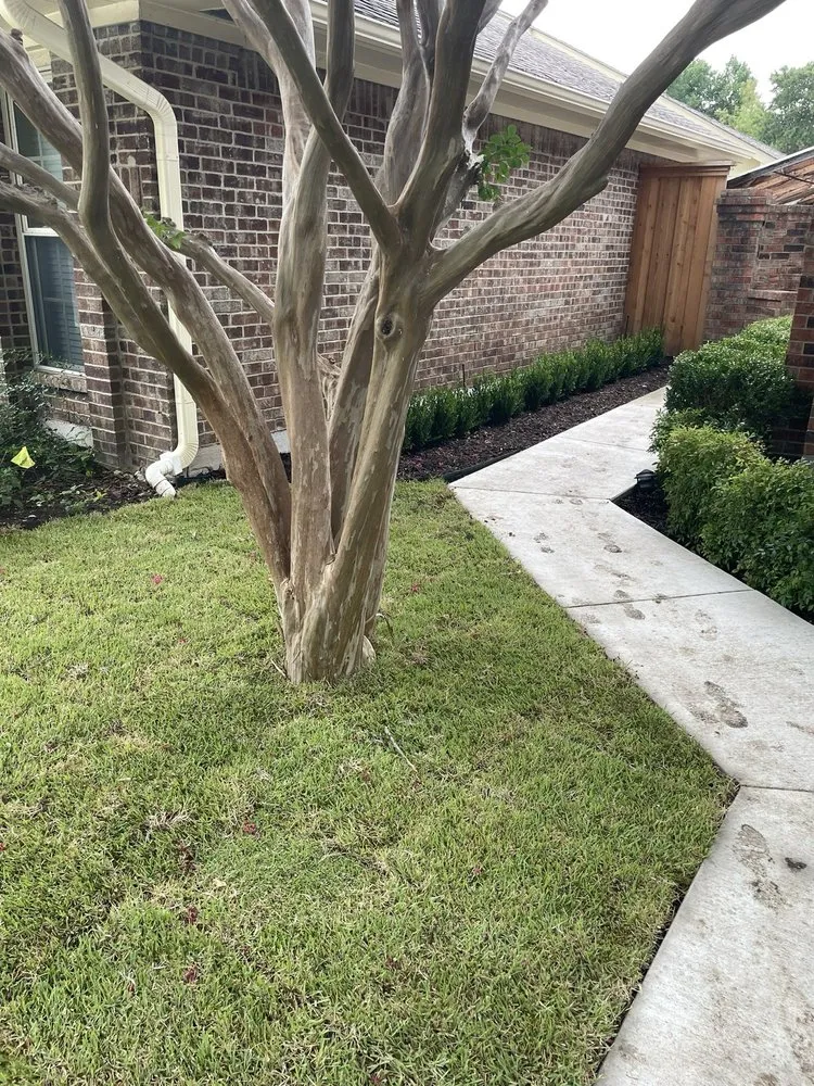 Professional landscaping services in Garland, TX - Torres Landscape and Irrigation