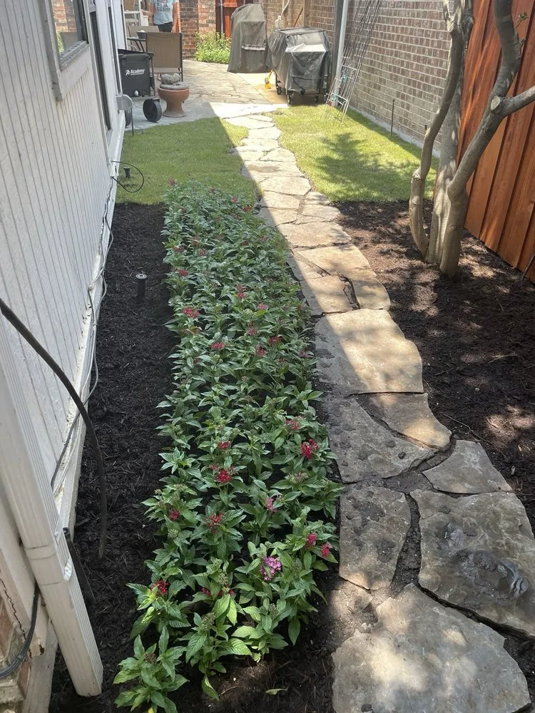 Trusted yard cleanup service in Garland, TX - Torres Landscape and Irrigation