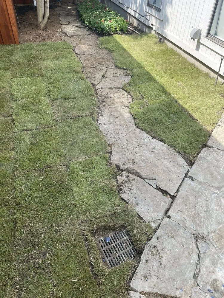 Expert landscape design for year-round maintenance in Garland, TX by Torres Landscape and Irrigation