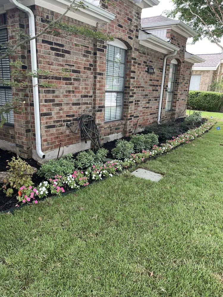 Top-rated lawn care service in Garland, TX by Torres Landscape and Irrigation
