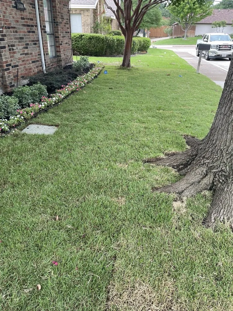 Expert landscaping services near you across Garland, TX - Torres Landscape and Irrigation