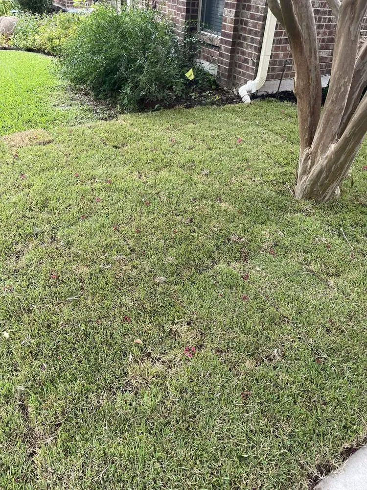 Professional outdoor landscaping in Garland, TX - Torres Landscape and Irrigation