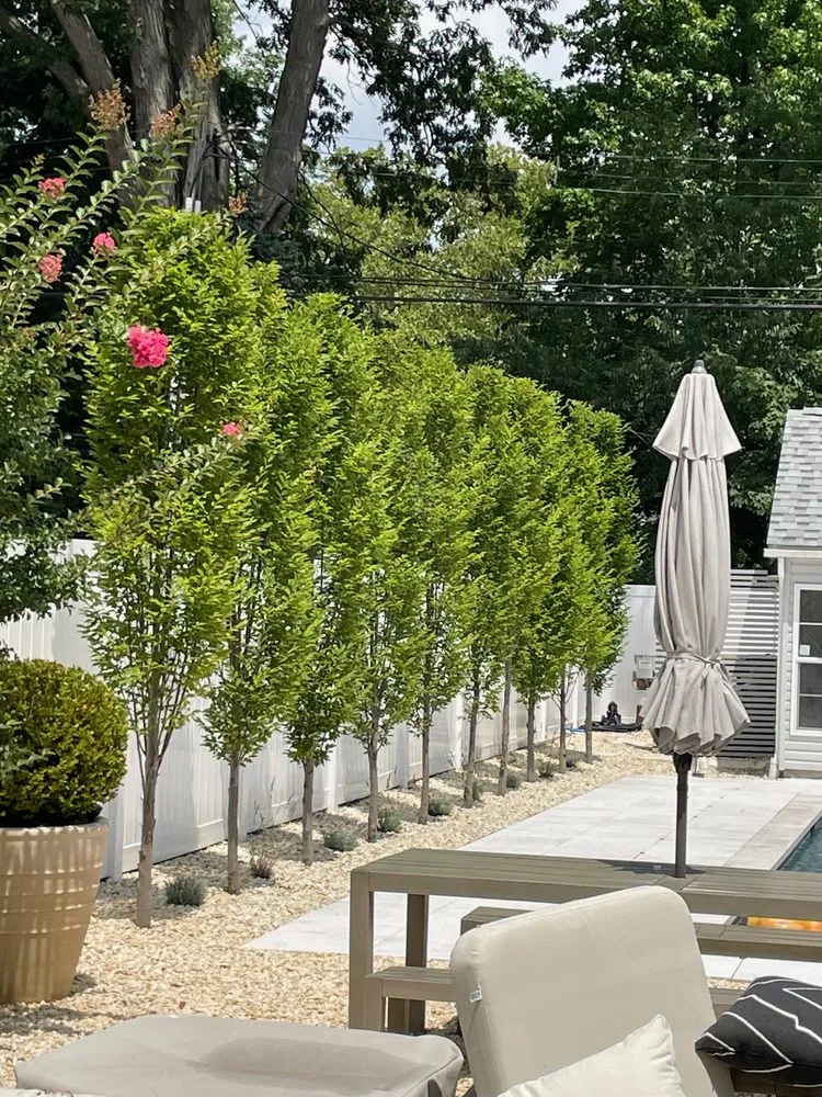 Local landscape installation near you in Asbury Park, NJ by Torres Landscape