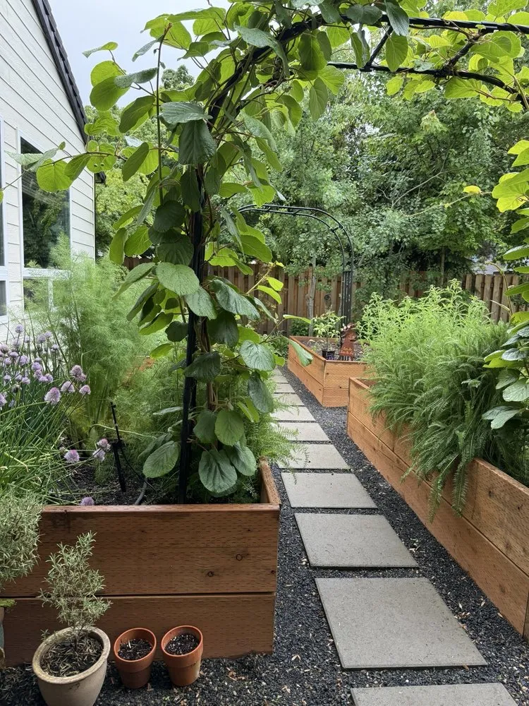 Expert yard cleanup service with custom design in Tualatin, OR by Torres Landscape Maintenance