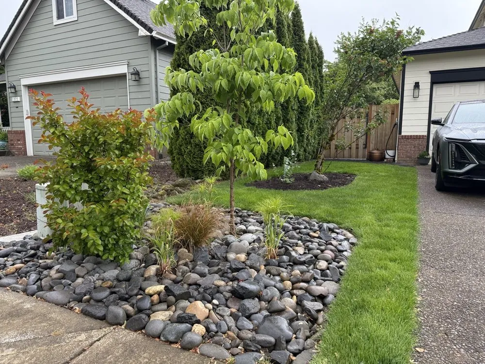 Reliable yard maintenance near you in Tualatin, OR by Torres Landscape Maintenance