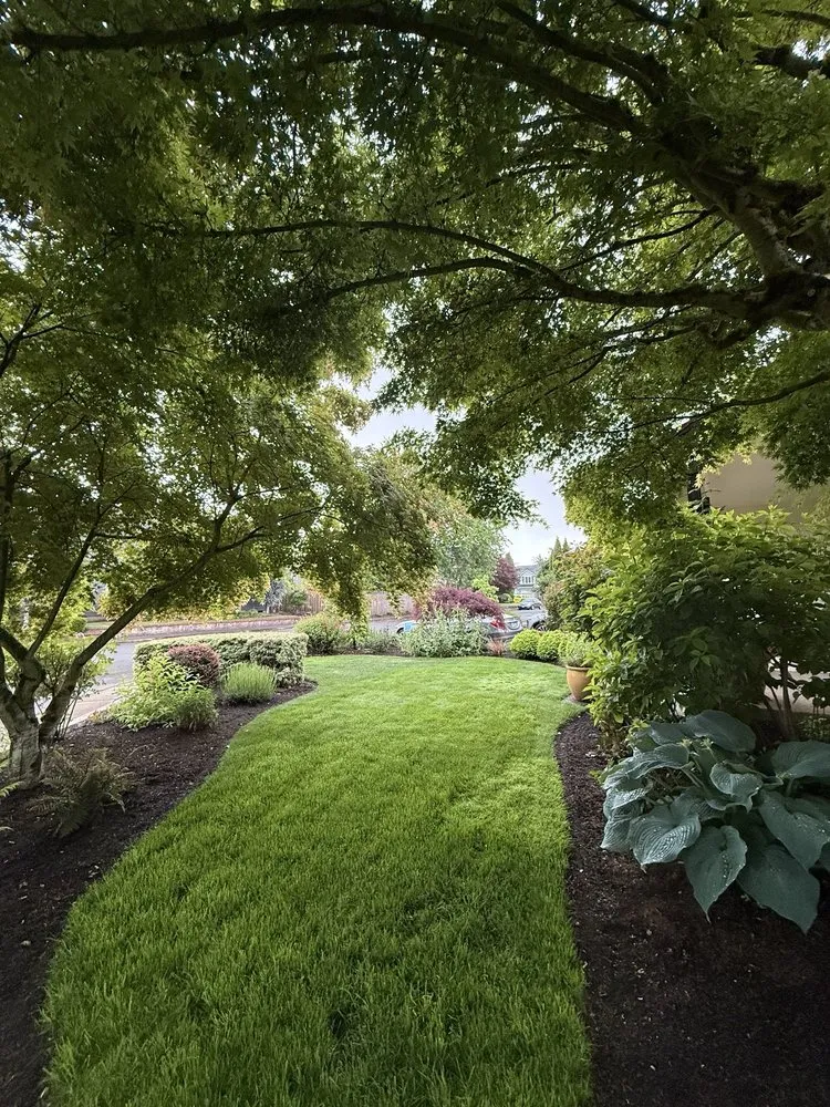 Reliable landscaping services in Tualatin, OR by Torres Landscape Maintenance