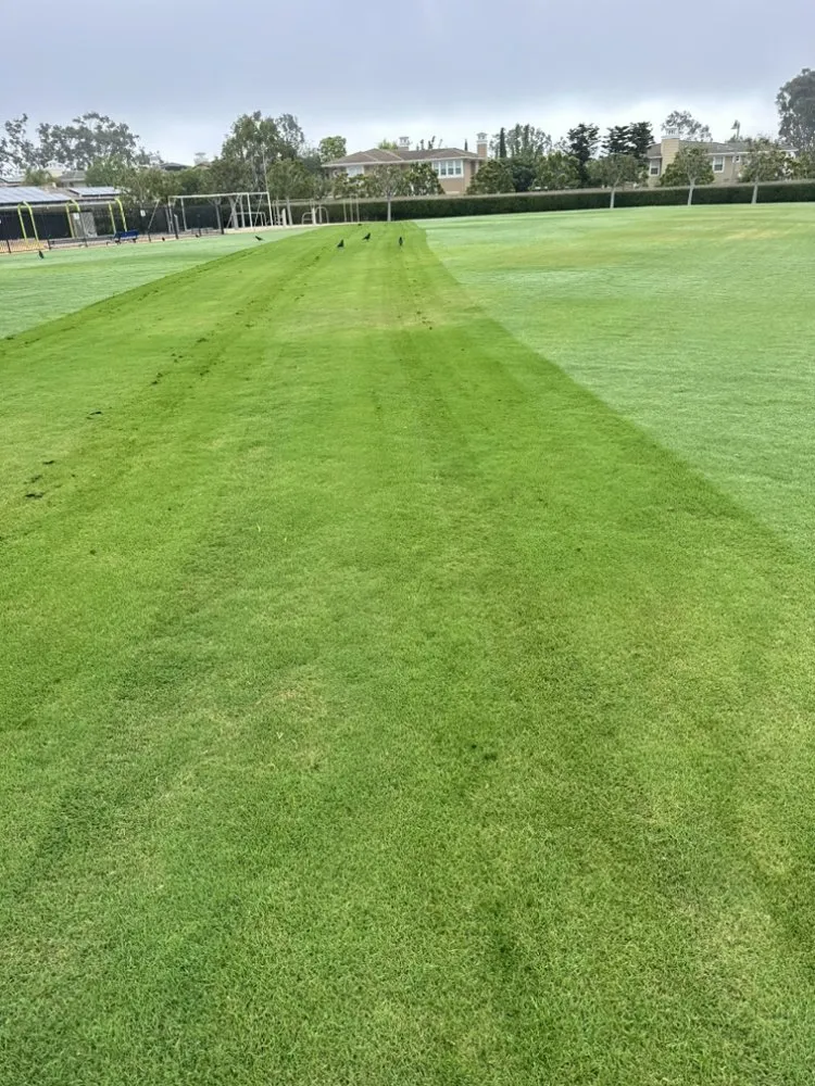 Expert landscape design near you in San Juan Capistrano, CA by Torres Landscape