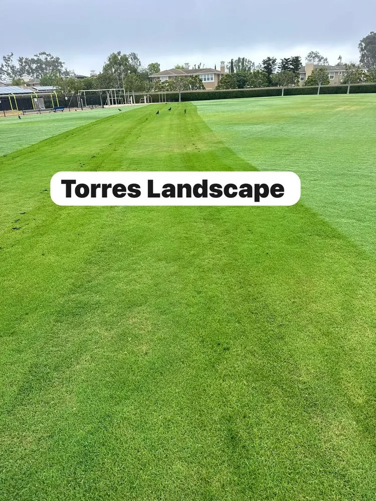 Local outdoor landscaping in San Juan Capistrano, CA by Torres Landscape