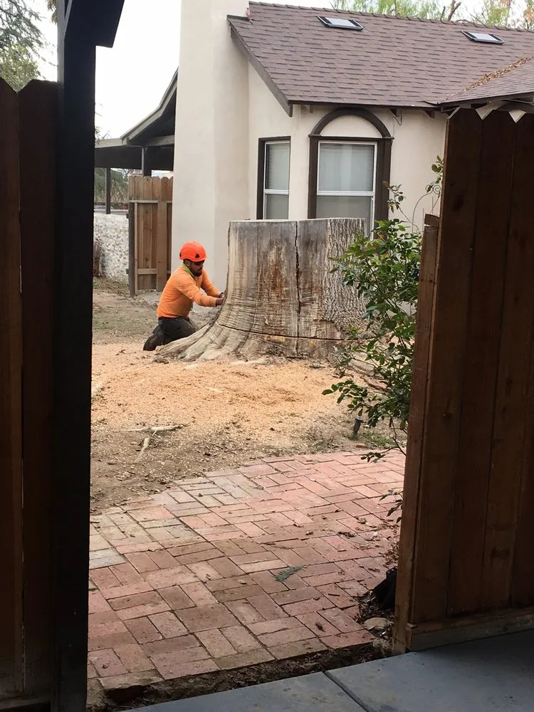 Local yard cleanup service near you in Bakersfield, CA by Torres Landscaping & Concrete