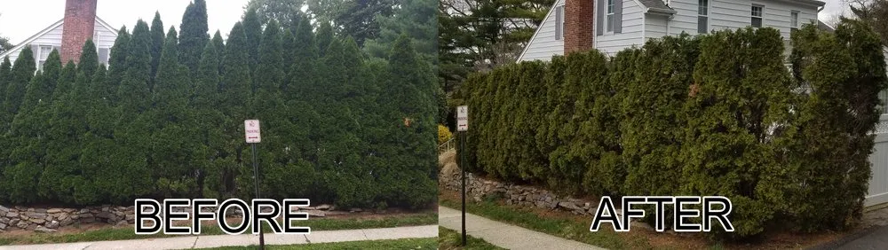 Expert landscaping services experts serving White Plains, NY - Torres Landscaping & Masonry