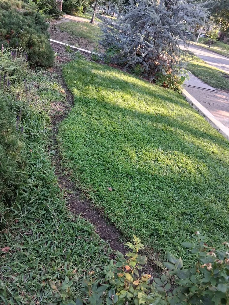Expert landscape design with custom design in Kansas City, MO by Torres Landscaping And Junk Removal