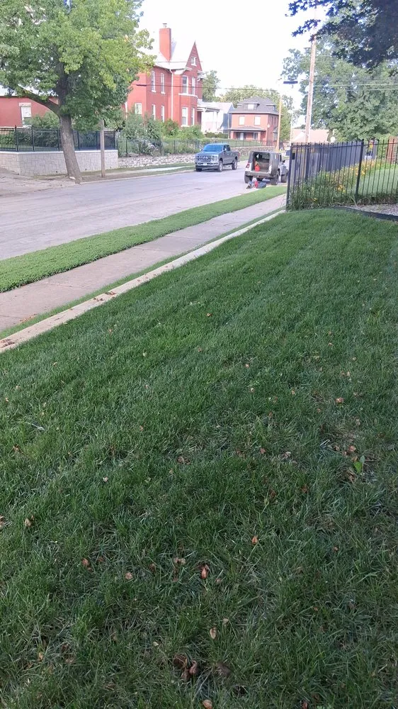 Expert garden landscaping in Kansas City, MO - Torres Landscaping And Junk Removal