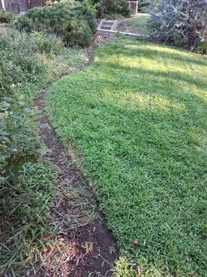 Torres Landscaping And Junk Removal Logo