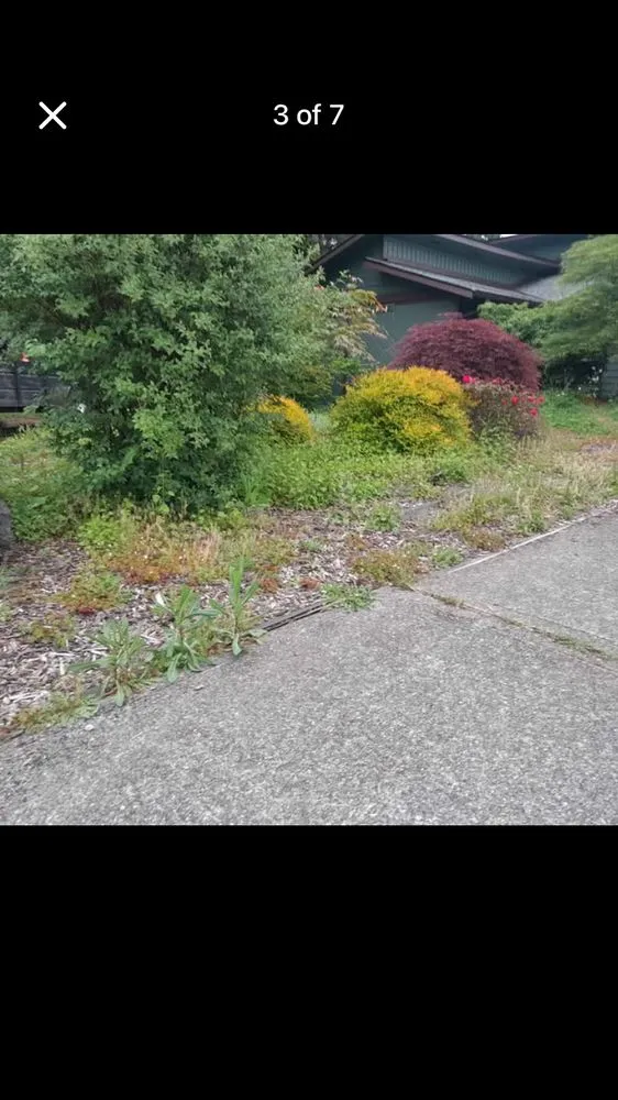 Trusted outdoor landscaping for year-round maintenance in Tumwater, WA by Torres Landscaping and Maintenance