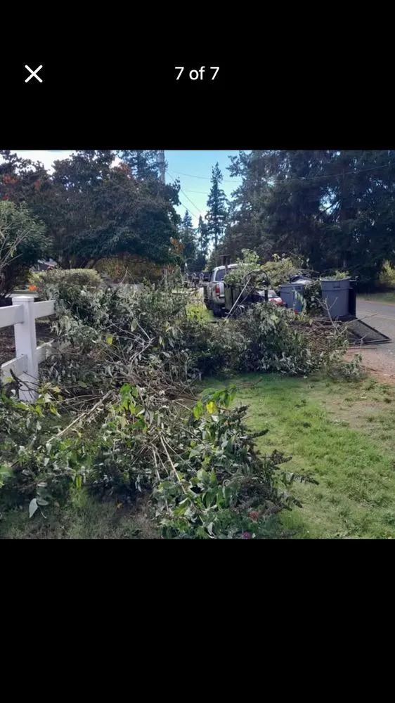 Professional lawn care service experts serving Tumwater, WA - Torres Landscaping and Maintenance