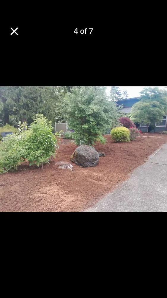 Top-rated lawn mowing service for residential properties in Tumwater, WA by Torres Landscaping and Maintenance