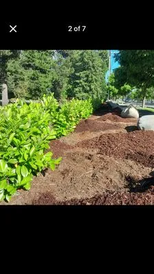 Torres Landscaping and Maintenance