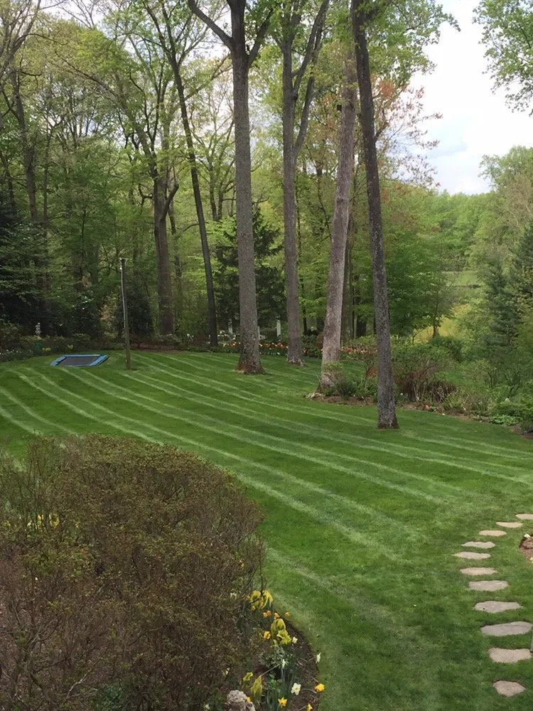 Custom residential landscaping experts serving Calverton, MD - Torres Landscaping