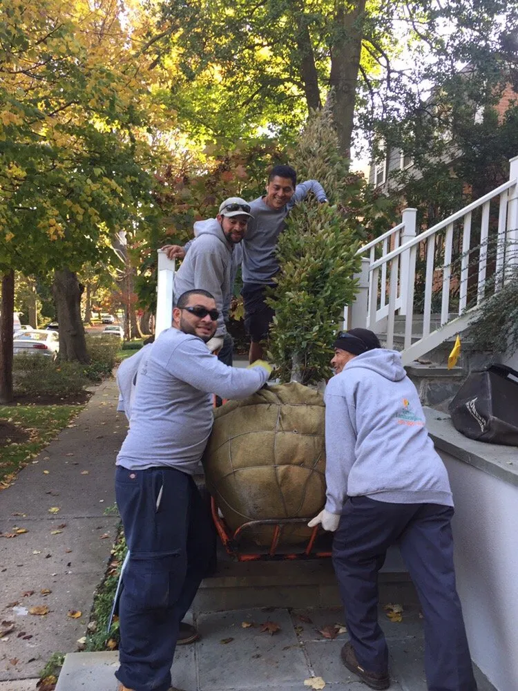 Professional lawn mowing service for outdoor upgrades across Calverton, MD - Torres Landscaping