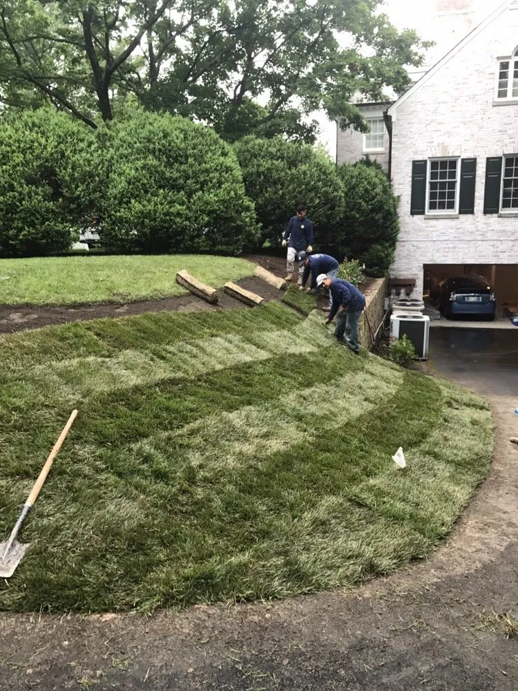 Top-rated landscaping services in Calverton, MD - Torres Landscaping