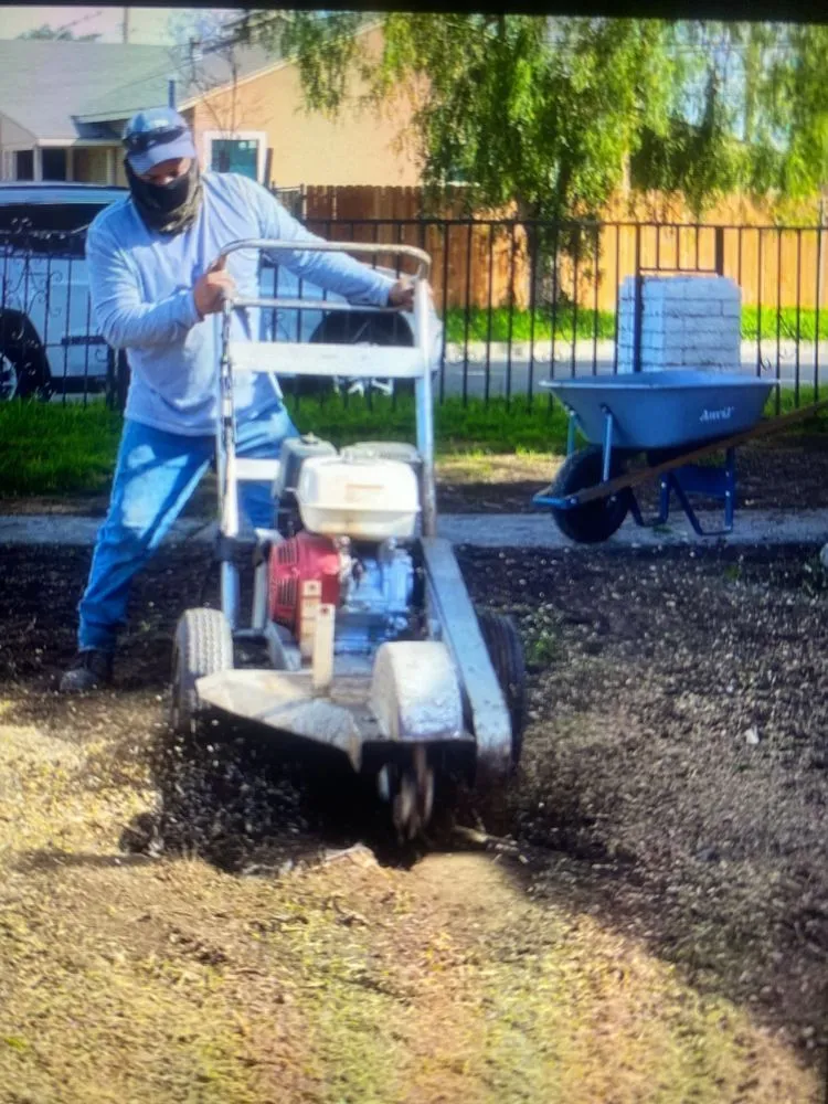 Affordable landscape installation for year-round maintenance in Compton, CA by Torres Landscaping