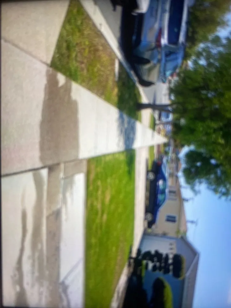 Reliable yard cleanup service for outdoor upgrades across Compton, CA - Torres Landscaping