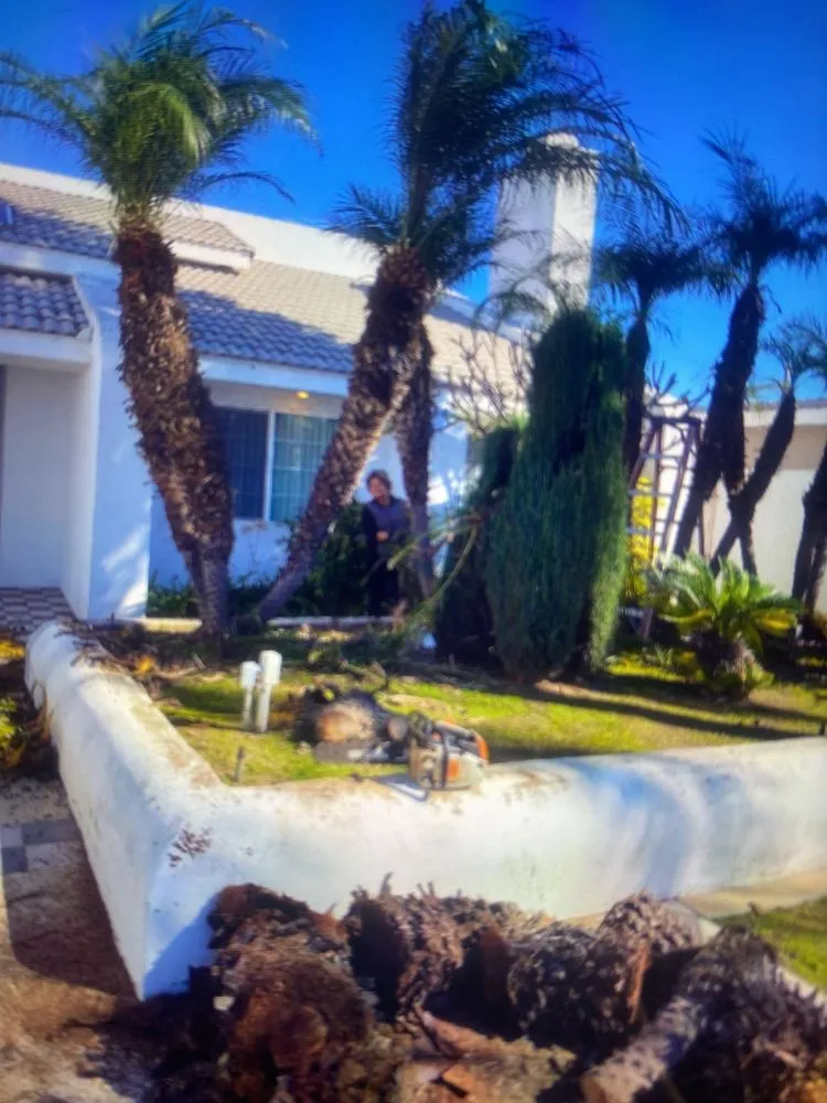 Local yard maintenance in Compton, CA by Torres Landscaping