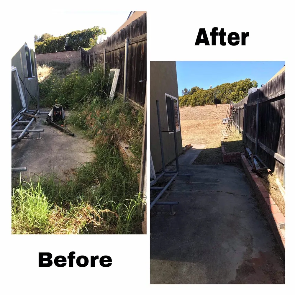 Custom lawn care service in El Cajon, CA by Torres Landscaping