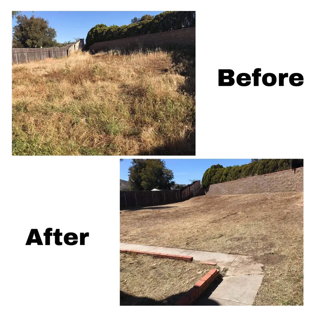 Top-rated yard maintenance for residential properties in El Cajon, CA by Torres Landscaping