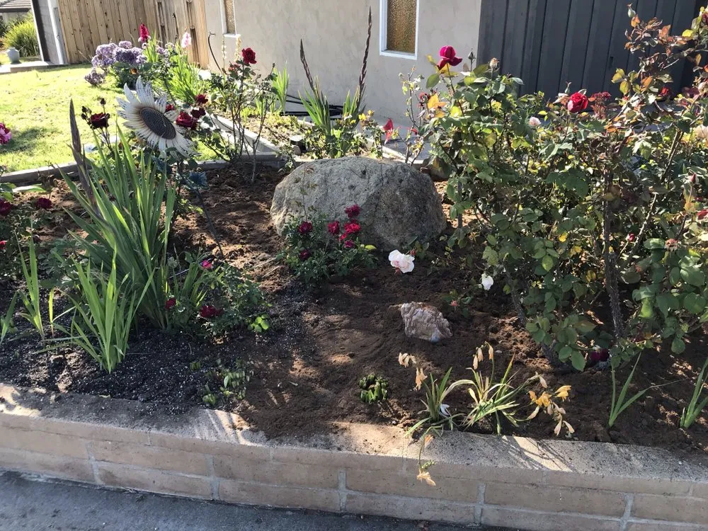 Affordable yard cleanup service experts serving El Cajon, CA - Torres Landscaping